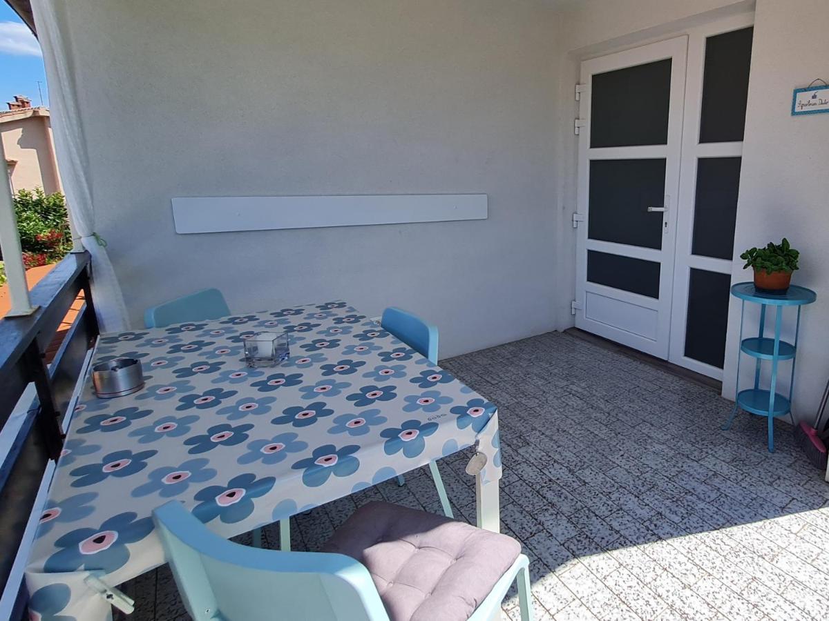 Apartment Dado *